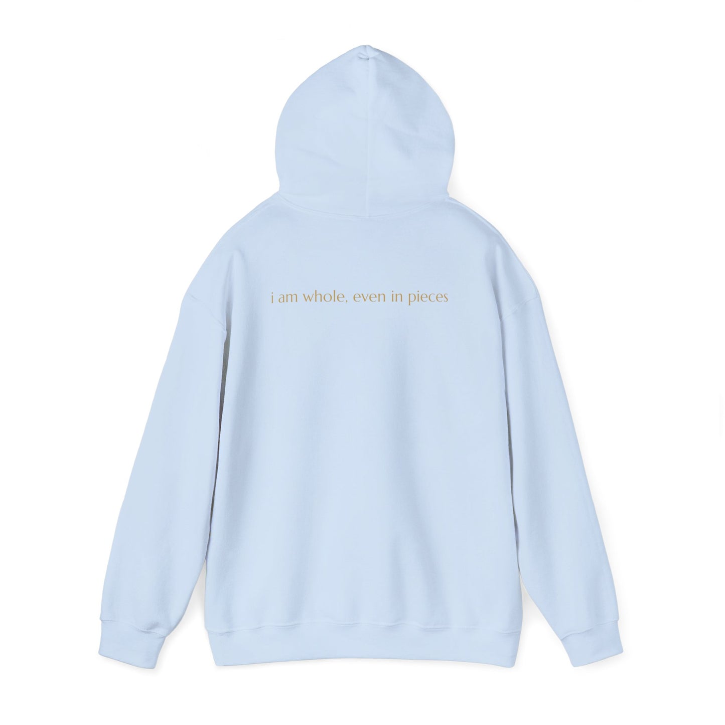 🦋 Resilience & Healing Hoodie