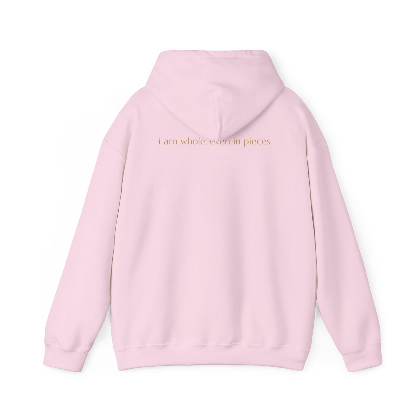 🦋 Resilience & Healing Hoodie