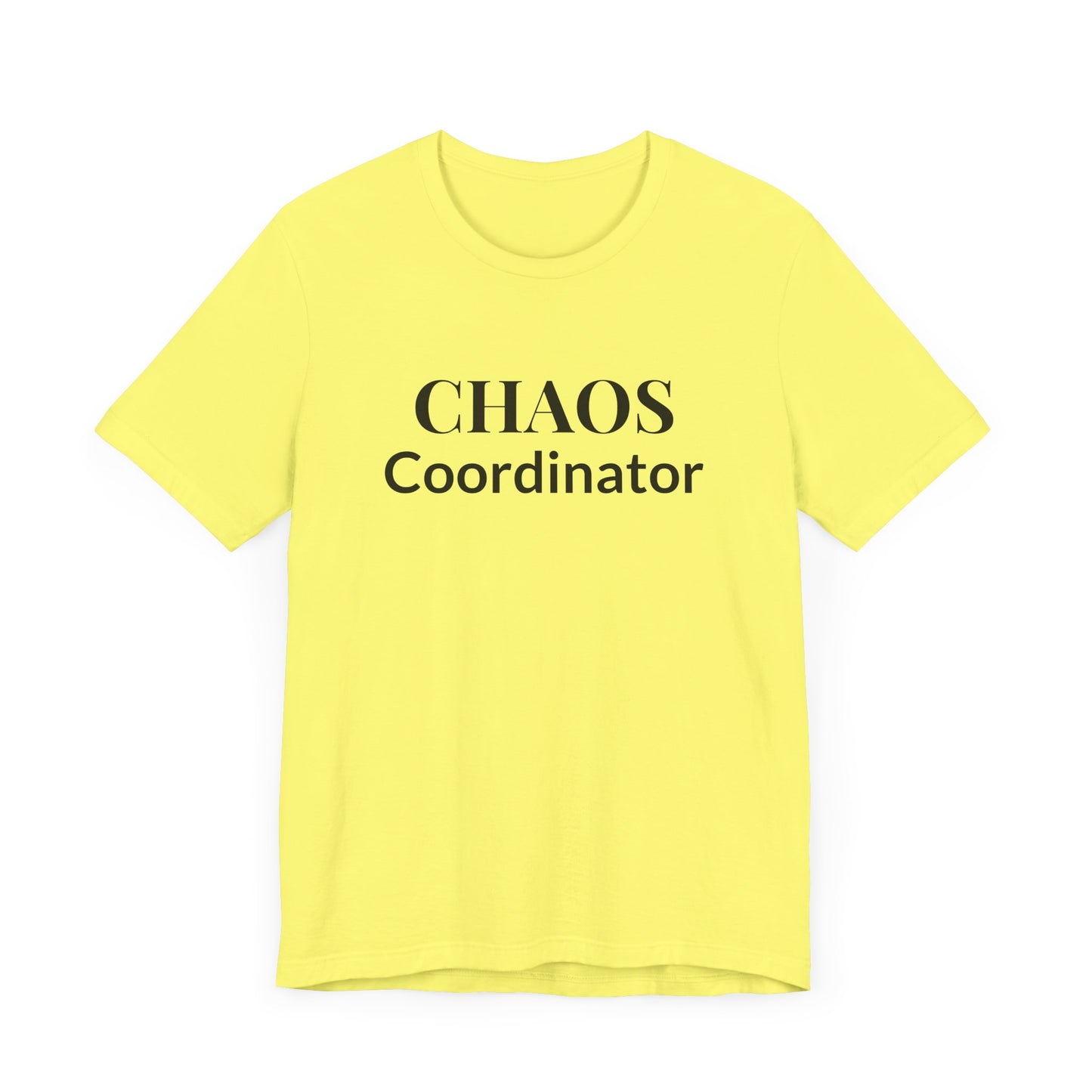 “Chaos Coordinator” Tee