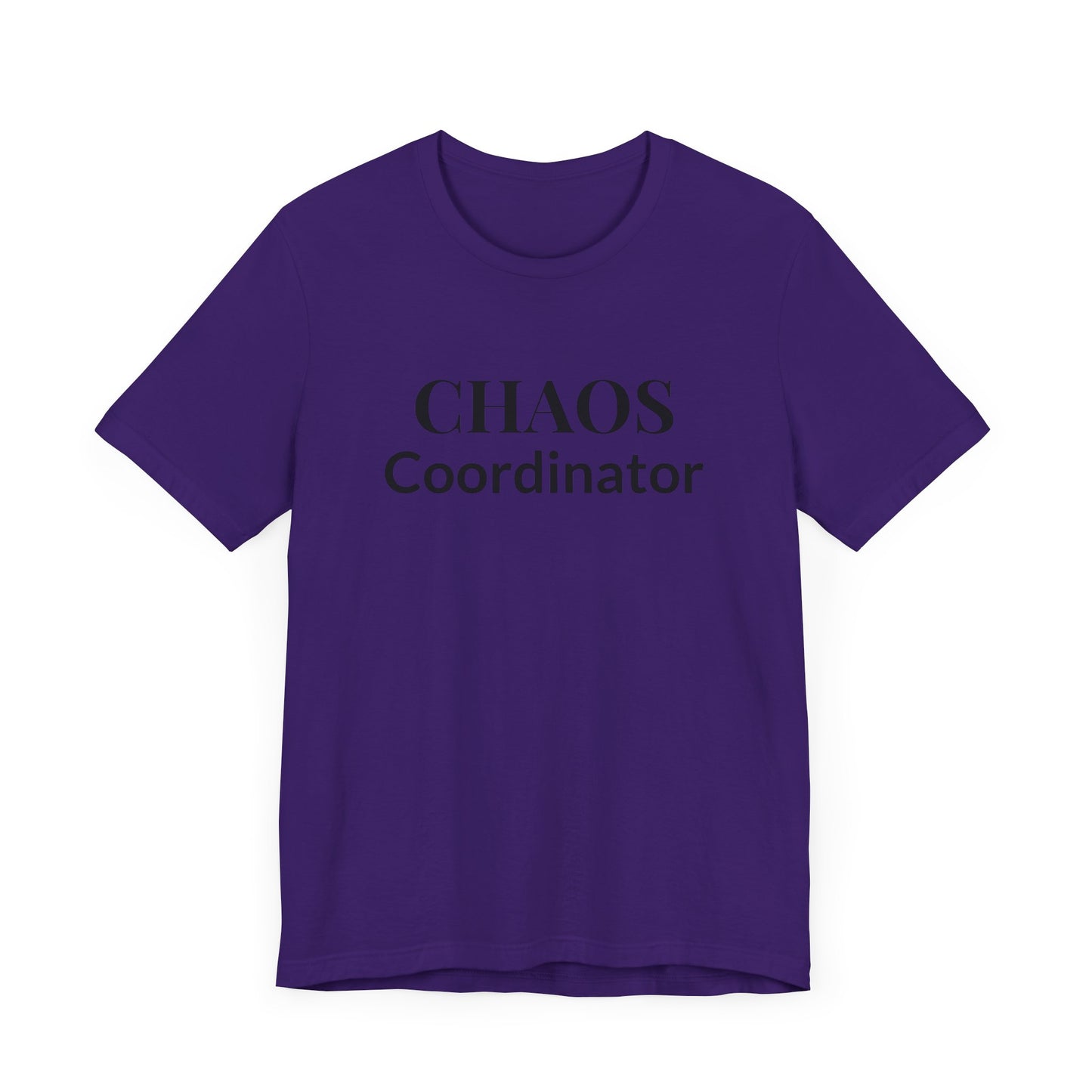 “Chaos Coordinator” Tee